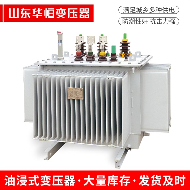 S13-10000/35图们图们图们电力变压器